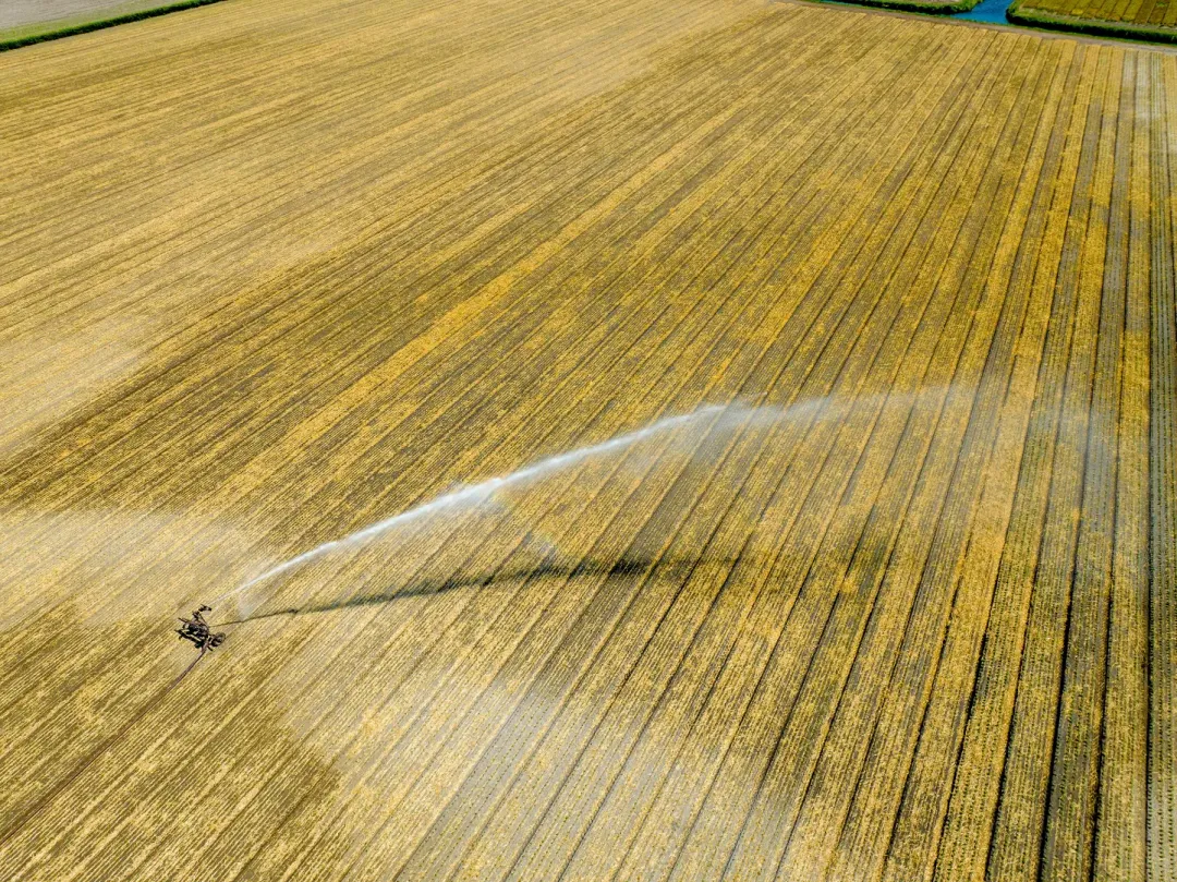 A garden hose rinsing the whole deck