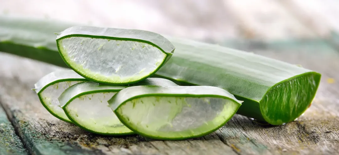 aloe vera use in spa for skin care - Does Aloe Vera Help Eczema? Complete Guide to Benefits, Uses & Risks - Dermatology Group